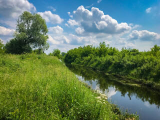 Summer nature river landscape. River grass summer view. Summer green river scene