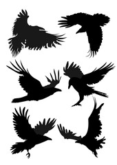 Obraz premium Black Ravens Silhouette Set, Black Crows 