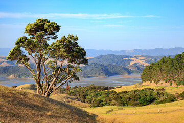 Fototapeta premium Coromandel Peninsula, New Zealand. A scenic view from the Manaia Road Lookout