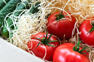 Wooden and cardboard crate box with fresh ripe tasty red tomatoes and green cucumbers with wood...