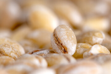 Pearl barley texture macro close up background