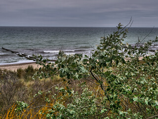 Der Ostseestrand von Ahrenshoop