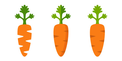 Carrots Vector Illustration Set