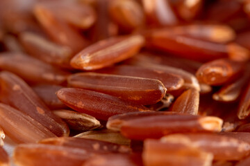 Texture of raw long grains of red rice, healthy food