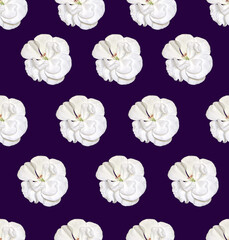 Seamless pattern with white geranium flowers on a dark background. Design for packaging, fabric,...