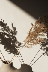 Trockenes Pampasgras / Schilf in stilvoller Vase. Schatten an der Wand. Silhouette im Sonnenlicht. Minimale florale Komposition © Floral Deco