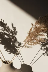 Trockenes Pampasgras / Schilf in stilvoller Vase. Schatten an der Wand. Silhouette im Sonnenlicht. Minimale florale Komposition © Floral Deco