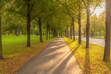 Low autumn sun over a bicycle road.