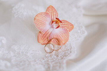 wedding rings on an orchid