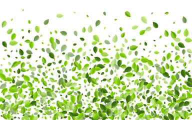 Lime Foliage Abstract Vector Backdrop. Spring 