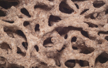 Macro shot holes and tunnels inside the damaged timber created by termites	