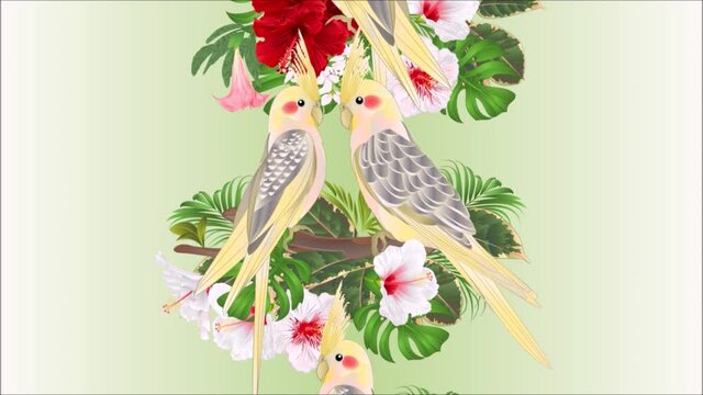 Video seamless loop animation of illustration vertical border seamless background   parrots yellow cockatiel cute tropical bird  and red and white hibiscus watercolor style on a green background vinta