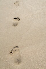 Empreintes de pas sur une plage de Bretagne