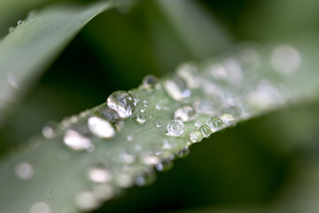 緑と水　環境とエコのイメージ