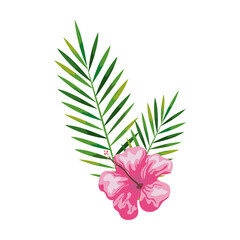 Fototapeta na wymiar hibiscus beautiful pink color with branches and leaves, tropical nature, spring summer botanical vector illustration design