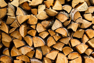 Fototapeta premium Texture - Stack of Firewood 