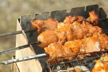 Grilled meat skewers. Barbecue fried on grill. Cooking meat on the coals. Outdoor recreation. Summer bbq party.
