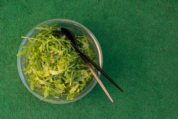 Bowl of fresh green arugula or rocket
