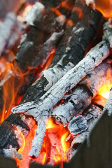 Fire with coals on a picnic . Preparing coals for cooking meat. Outdoor activities. 