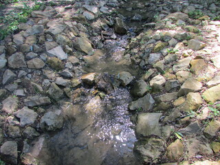 rocks in the water