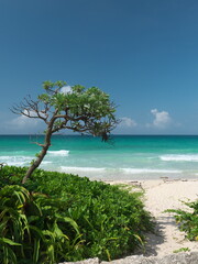
Okinawa,Japan-June 23, 2020: Beautiful sea and shore of Toguchinohama beach in Irabujima island, Japan
