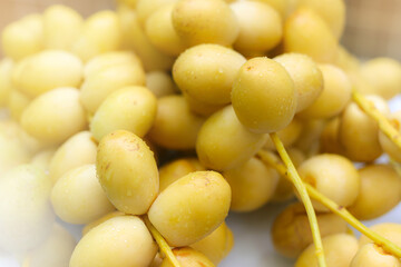 Group of Date Palm Fresh