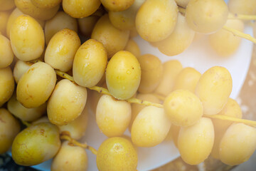 Group of Date Palm Fresh