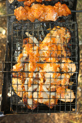 Grilled meat skewers. Barbecue fried on grill. Cooking meat on the coals. Outdoor recreation. Summer bbq party.
