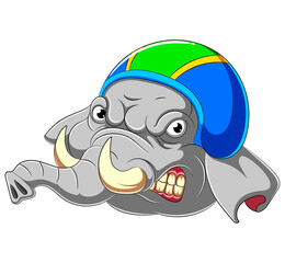 Elephant wearing helmet of Racer