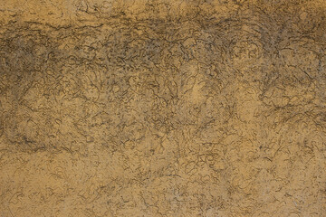 Beige brown wall texture close up