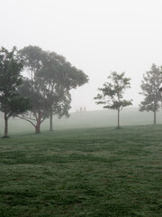 Foggy morning view around the hill with people in the distance.