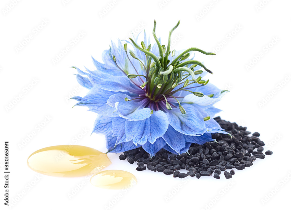 Wall mural black cumin seeds with nigella sativa flower in closeup