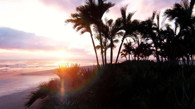 Amazing evening sunset over the endless sea. Blue sky, yellow sun, palm trees, endless sea and seascape. Summer, an beautiful sunset on the sea coast. Looping animation.