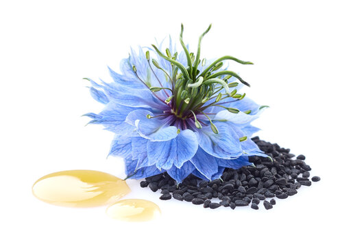 Black cumin seeds with nigella sativa flower in closeup