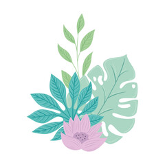 flowers lilac color pastel with branches and leaves , nature concept vector illustration design