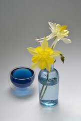 Flowers in a blue vase and a cup of tea Anchan