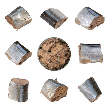 Set of canned saury pieces isolated on white background.