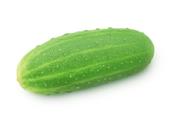 Fresh whole green cucumber isolated on a white background.