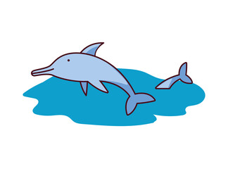 landscapes, nature and land animals