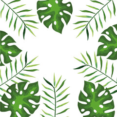 Fototapeta premium frame of branches with leaves tropical, nature concept vector illustration design