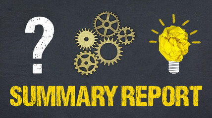 Summary Report