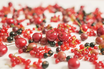 Fruit pattern of colorful fresh berries on white background. Top view. Flat lay. Summer Organic Berry Cherry, Currant, Gooseberry. Agriculture, Gardening, Harvest Concept. Vitamins, Healthy Diet.