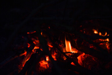 fire, flame, heat, firewood, burn, fireplace, hot, bonfire, flame, bonfire, burning, red, orange, warm, camp, night, light, camping, coal, black, yellow, barbecue, flame, danger, coal, firewood, smoke