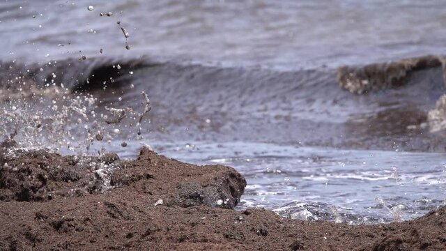 Black wave with dead algae contamination slow motion