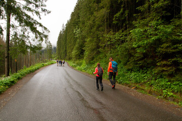 The road in the mountains. Walking People walk in the mountains. Тatras.