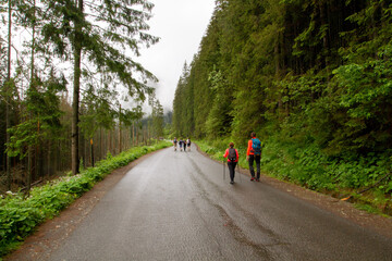 Obraz premium The road in the mountains. Walking People walk in the mountains. Тatras.