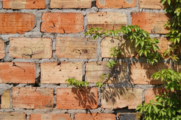 Old brick wall, old texture of red stone blocks closeup.