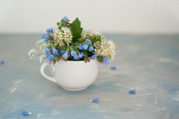 Wildflowers in a cup on a blue concrete background