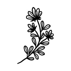 Hand drawn monochrome flower plant, leaf, and foliage element for wedding invitation, floral logo, symbol, greeting cards, decor, botanical icon, or banner. Summer, spring, and autumn botany element