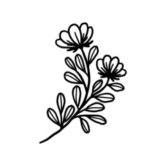 Hand drawn monochrome flower plant, leaf, and foliage element for wedding invitation, floral logo, symbol, greeting cards, decor, botanical icon, or banner. Summer, spring, and autumn botany element